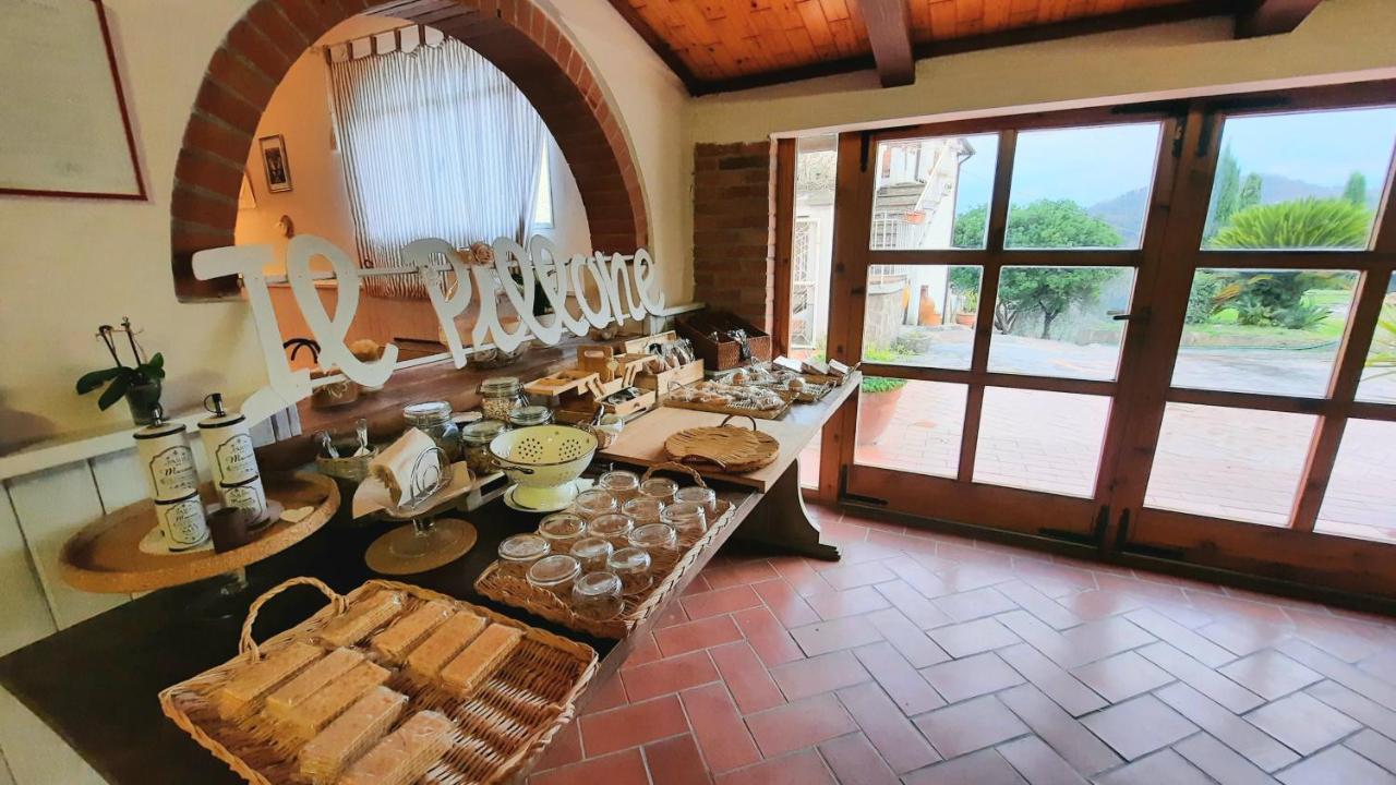 Agriturismo Il Pillone Μοντεκατίνι Τέρμε Εξωτερικό φωτογραφία
