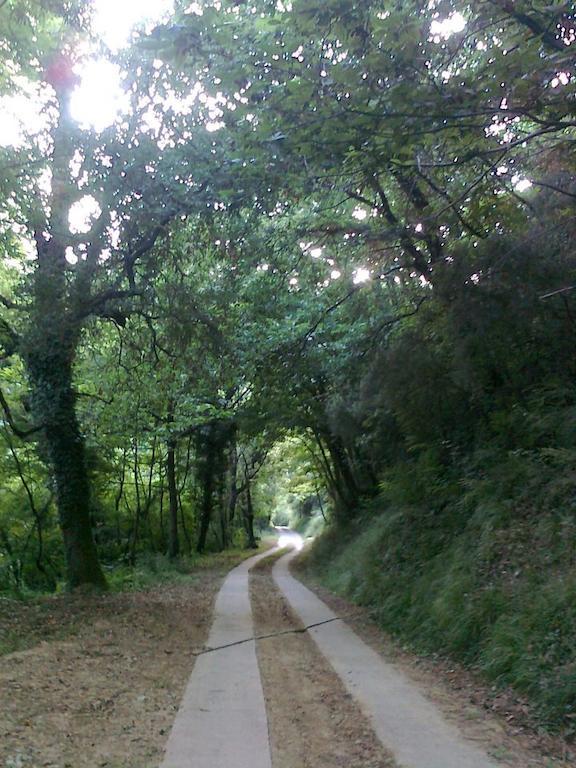 Agriturismo Il Pillone Μοντεκατίνι Τέρμε Εξωτερικό φωτογραφία